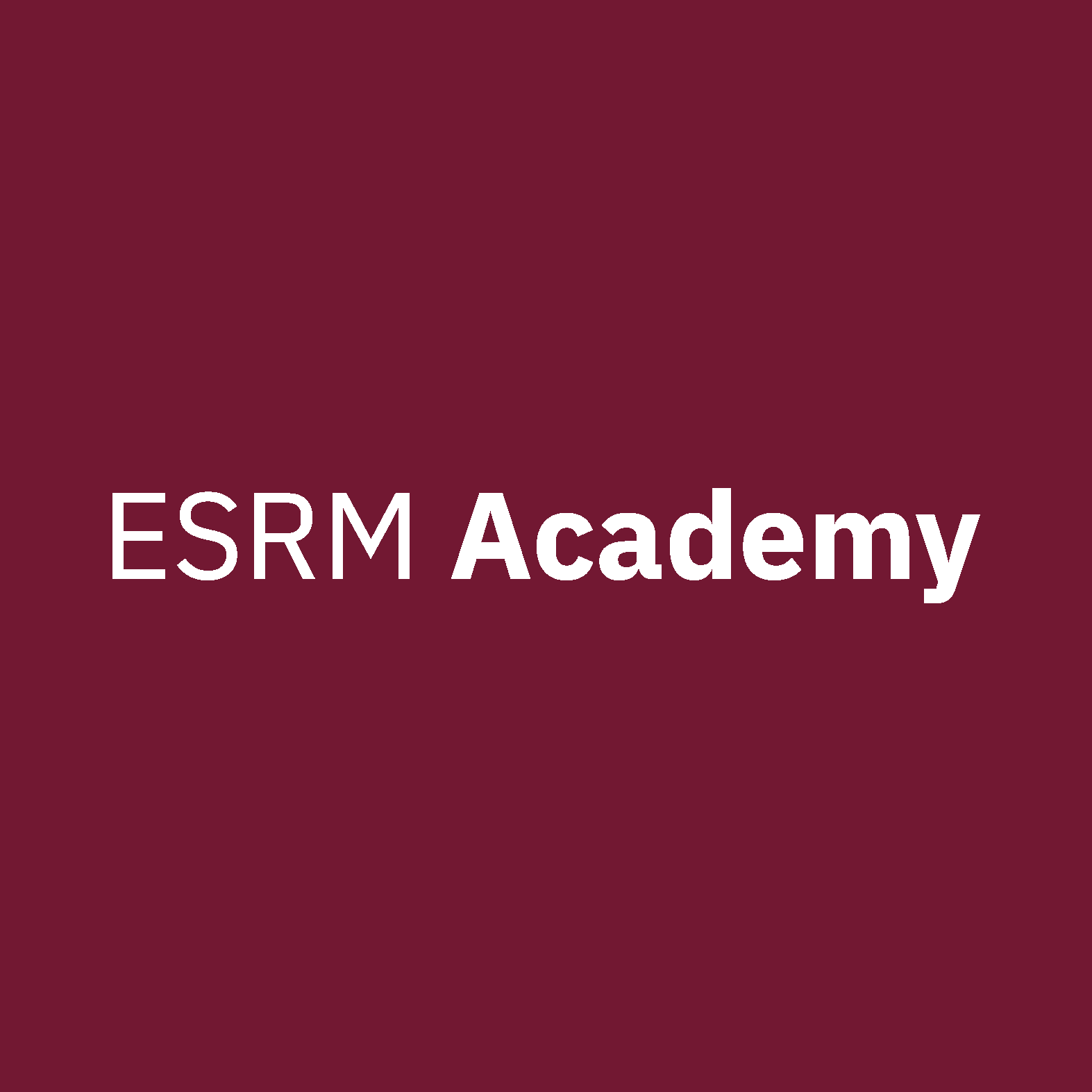 Logo oficial de ESRM Academy
